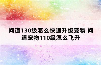 问道130级怎么快速升级宠物 问道宠物110级怎么飞升